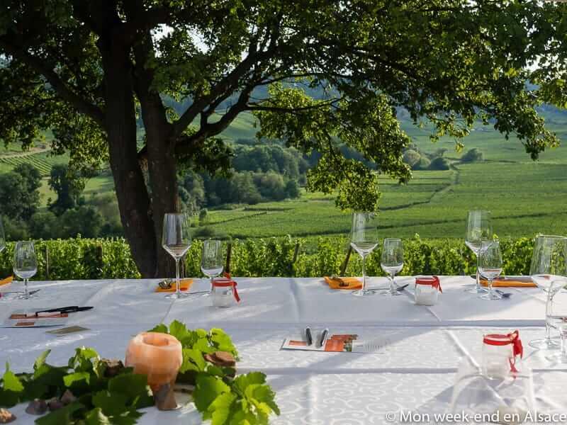 Diner vignes domaine sohler