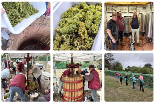 Vendanges 2026 1